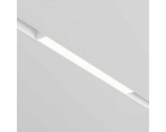 Трековый светодиодный светильник Maytoni Technical Basis TR030-2-12W3K-W