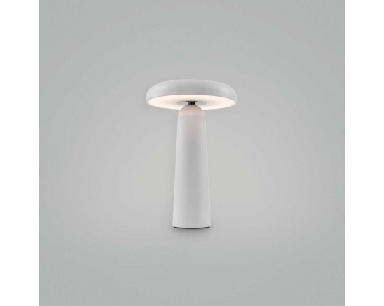 Настольная аккумуляторная лампа Freya LED Mushroom FR6109TL-L4W