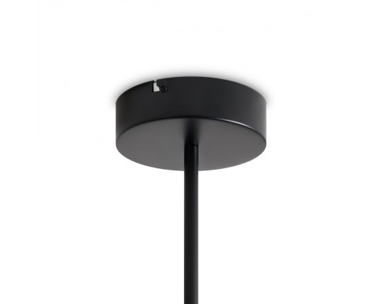 Потолочная светодиодная люстра Freya Arch FR6178CL-L30B