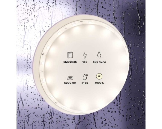 Светодиодная лента Standard Maytoni Led Strip 10106