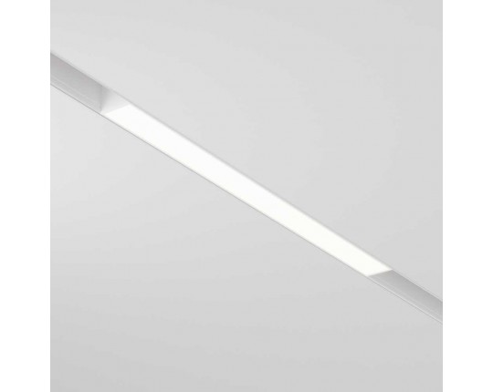 Трековый светодиодный светильник Maytoni Technical Basis TR030-2-12W4K-W