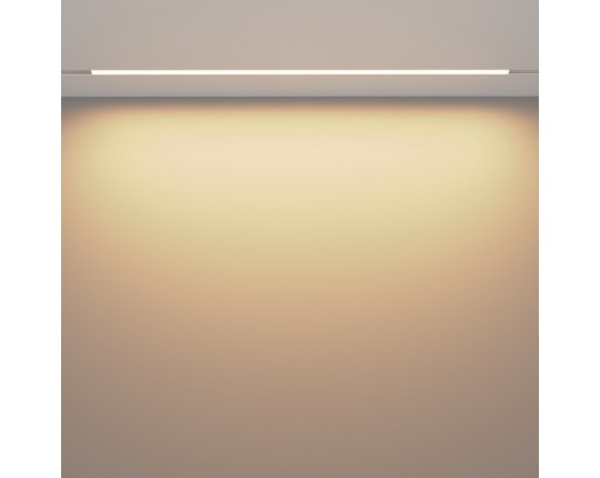 Трековый светодиодный светильник Maytoni Technical Exility Basis TR030-4-30W3K-WW-DS-W