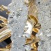 Подвесная люстра Freya Mineral FR1010CL-06G