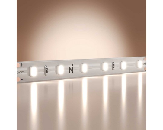 Светодиодная лента Maytoni Led Strip 5м 201179