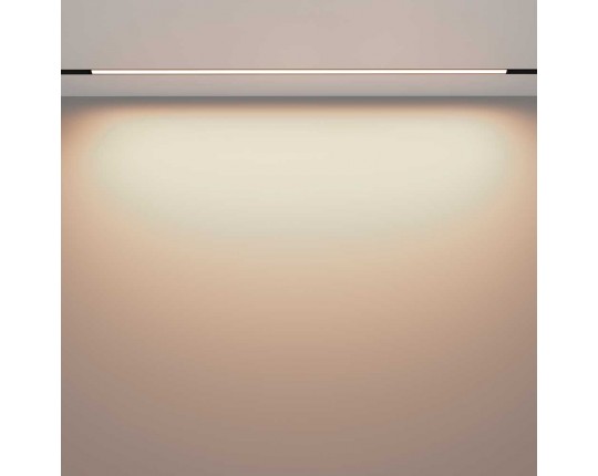 Трековый светодиодный светильник Maytoni Technical Exility Basis TR030-2-30W3K-B