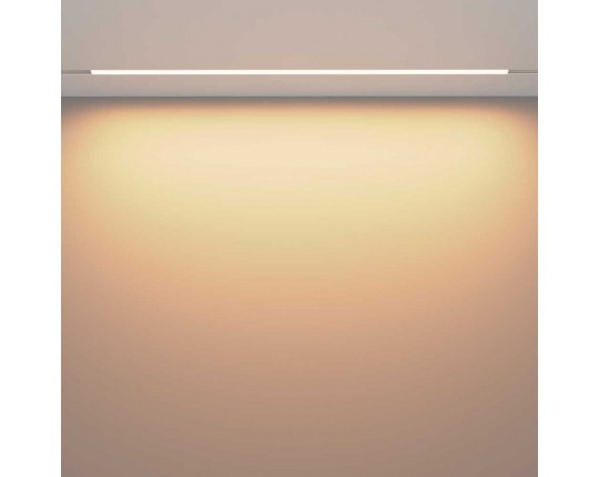 Трековый светодиодный светильник Maytoni Technical Exility Basis TR030-2-30W3K-W