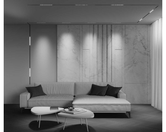 Трековый светильник Maytoni Technical EXILITY X Points TR241-4-12WTW-DSZ-B