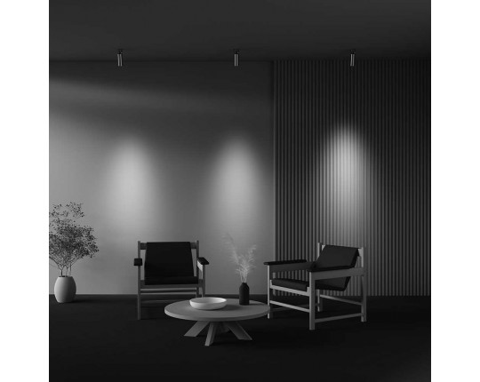 Потолочный светильник Maytoni Technical Ceiling FOCUS LED C055CL-L12W3K-W-PT