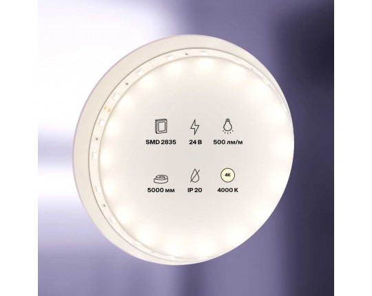 Светодиодная лента Maytoni Technical 4,8W/m 60LED/m 2835SMD дневной белый 5M 10137