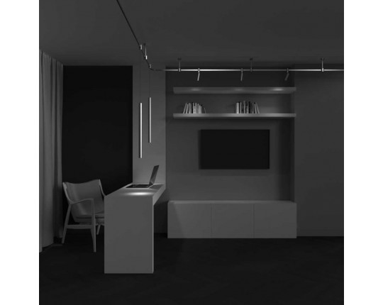 Трековый светильник Maytoni Technical TR156-1-5W4K-PT