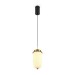 Подвесной светильник Freya Modern Iride FR5627PL-L8BBS
