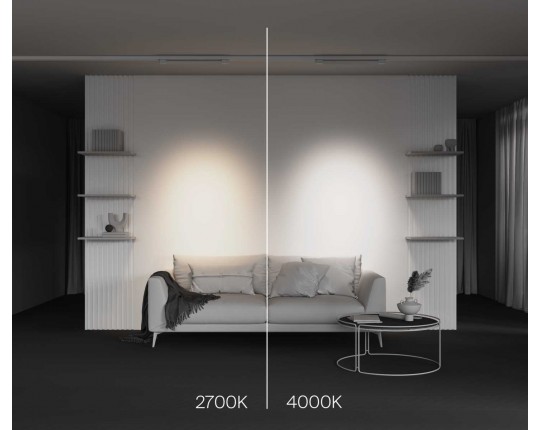 Трековый светодиодный светильник Maytoni Technical Points TR195-3-20W4K-M-W