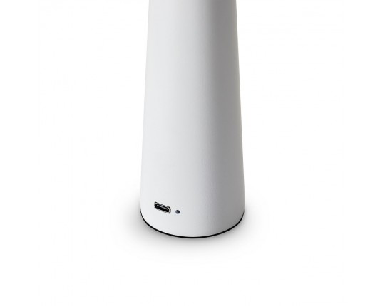 Настольная лампа Freya Clam FR6188TL-L3W