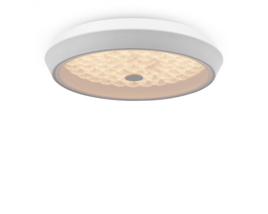Потолочный светодиодный светильник Freya Cells FR10012CL-L24W Потолочный светодиодный светильник Freya Cells FR10012CL-L24W