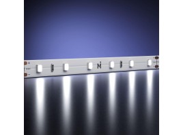 Светодиодная лента Maytoni 7,2W/m 60LED/m 2835SMD холодный белый 5M 201026