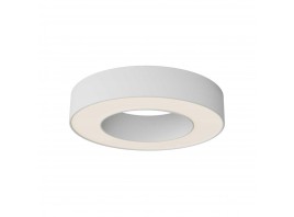 Потолочный светильник Maytoni Technical C093CL-24W3K-W