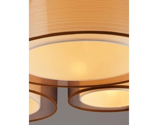 Потолочная люстра Moderli Room V10624-5C