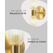 Бра Moderli Brass V11018-2W