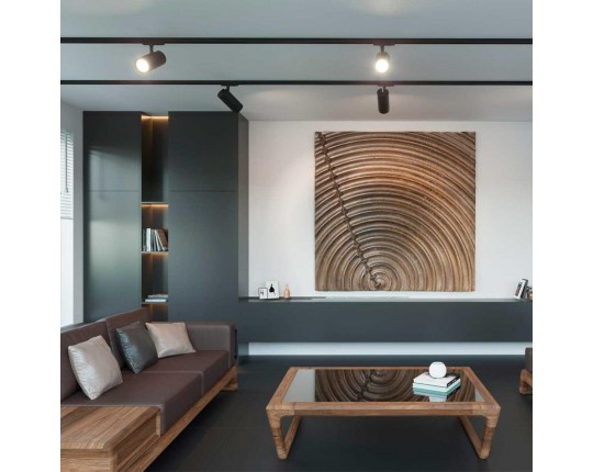 Трековый светильник однофазный трехжильный Novotech SELENE 359161