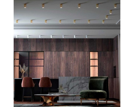 Потолочный светильник Novotech Over Elina 370734