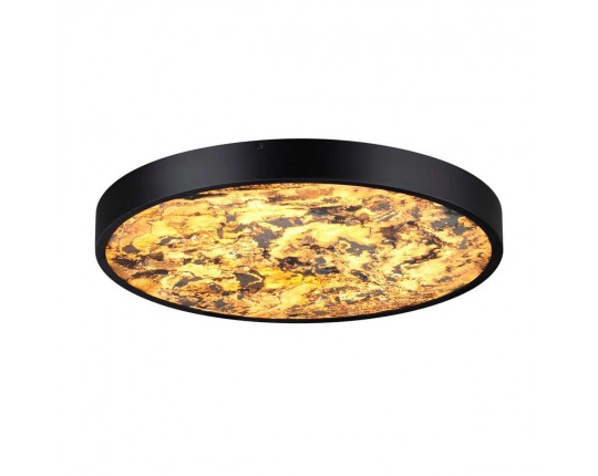 Настенно-потолочный светильник Odeon Light BERGI 5064/40L