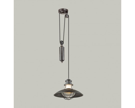 Уличный подвесной светильник Odeon Light Nature Dante 4164/1A