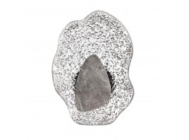 Настенный светодиодный светильник Odeon Light Coralla L-Vision 5461/12WLB