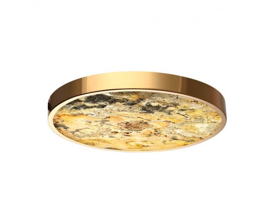 Настенно-потолочный светильник Odeon Light BERGI 5079/40L