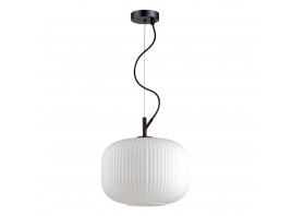 Подвесной светильник Odeon Light Pendant Roofi 4754/1