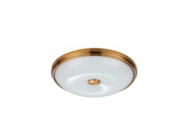 Потолочный светильник Odeon Light Walli Pelow 4956/4