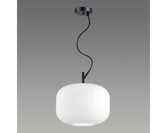 Подвесной светильник Odeon Light Pendant Roofi 4754/1