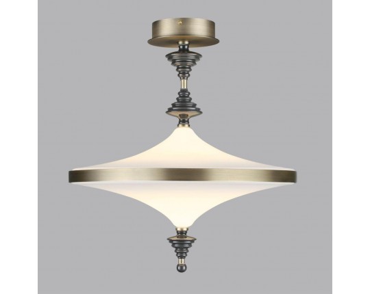 Подвесной светодиодный светильник Odeon Light Exclusive L-Vision Ula 5404/43CL