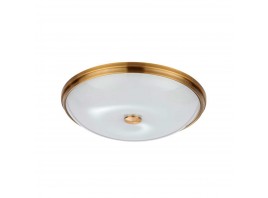 Потолочный светильник Odeon Light Walli Pelow 4956/5