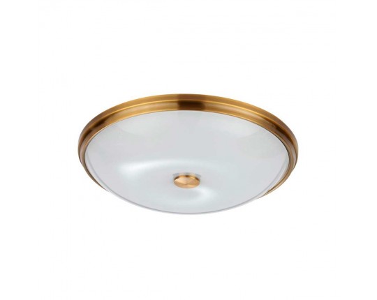 Потолочный светильник Odeon Light Walli Pelow 4956/5