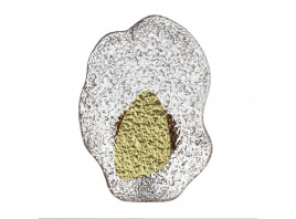 Настенный светодиодный светильник Odeon Light Coralla L-Vision 5460/12WLA