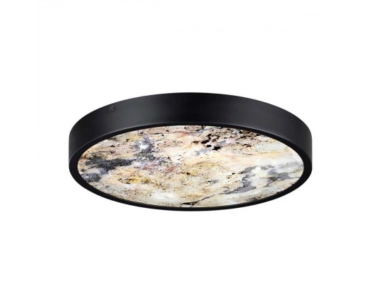 Настенно-потолочный светильник Odeon Light BERGI 5064/24L