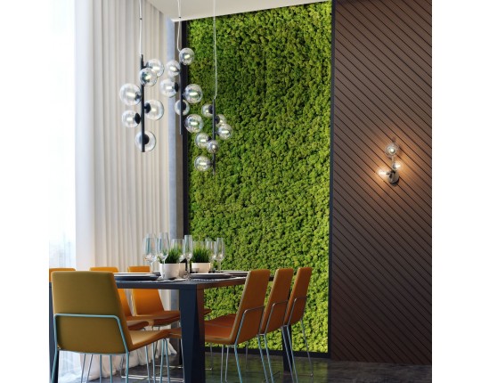 Бра Odeon Light Modern Tovi 4818/3W