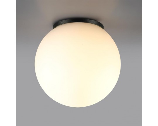 Потолочный светильник Odeon Light NATURE 7124/1C