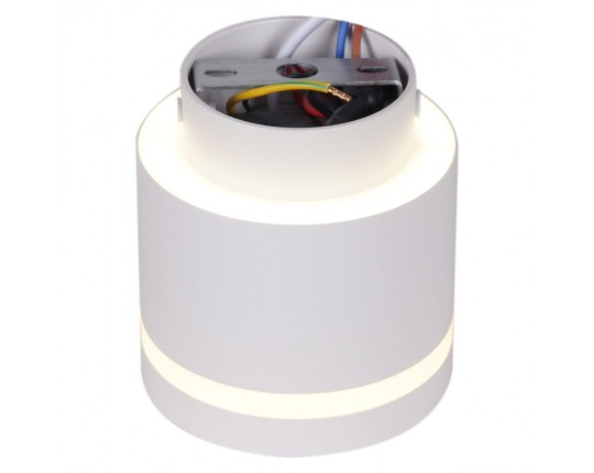 Потолочный светильник Reluce 53001-9.5-001IL GX53+LED3W WT