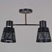 Люстра Reluce 06074-3.3-02 BK+FG