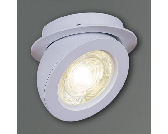 Спот Reluce 84053-9.0-001QR COB8W WT