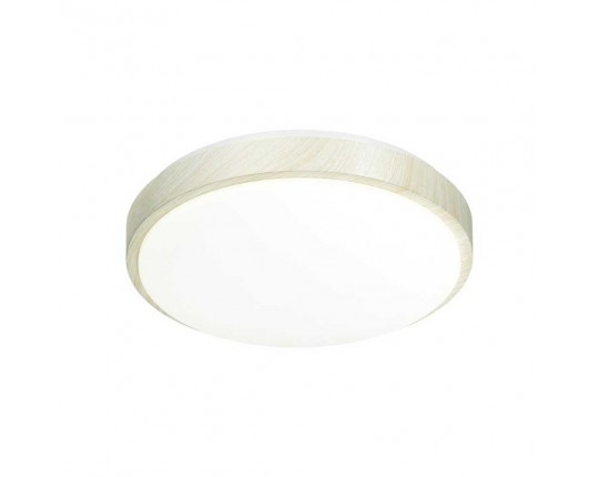 Настенно-потолочный светодиодный светильник Sonex Losta 7628/AL