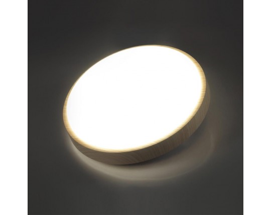 Настенно-потолочный светильник Sonex PALE 7607/CLN