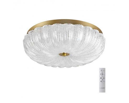 Потолочный светодиодный светильник Sonex Piko Tesoro 7719/48L