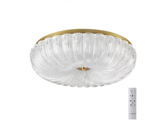 Потолочный светодиодный светильник Sonex Piko Tesoro 7719/60L