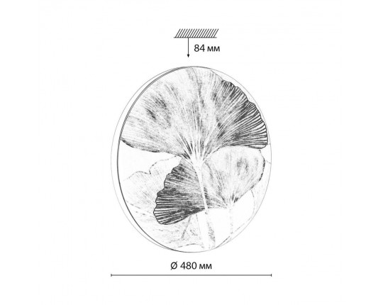 Настенно-потолочный светодиодный светильник Sonex Pale Floren 7747/EL