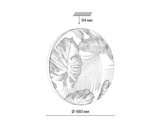 Настенно-потолочный светодиодный светильник Sonex Pale Flori 7748/EL