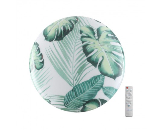 Настенно-потолочный светодиодный светильник Sonex Pale Flori 7748/EL