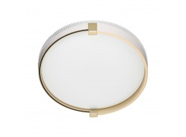 Настенно-потолочный светодиодный светильник Sonex Pale Olidi White 7646/CL