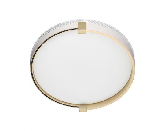 Настенно-потолочный светодиодный светильник Sonex Pale Olidi White 7646/CL